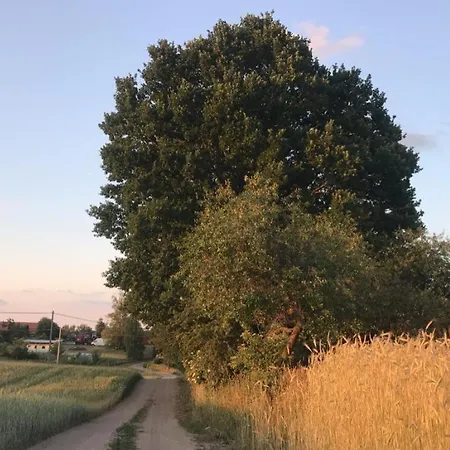 Kemping Ranczo Kowalskich Karsin